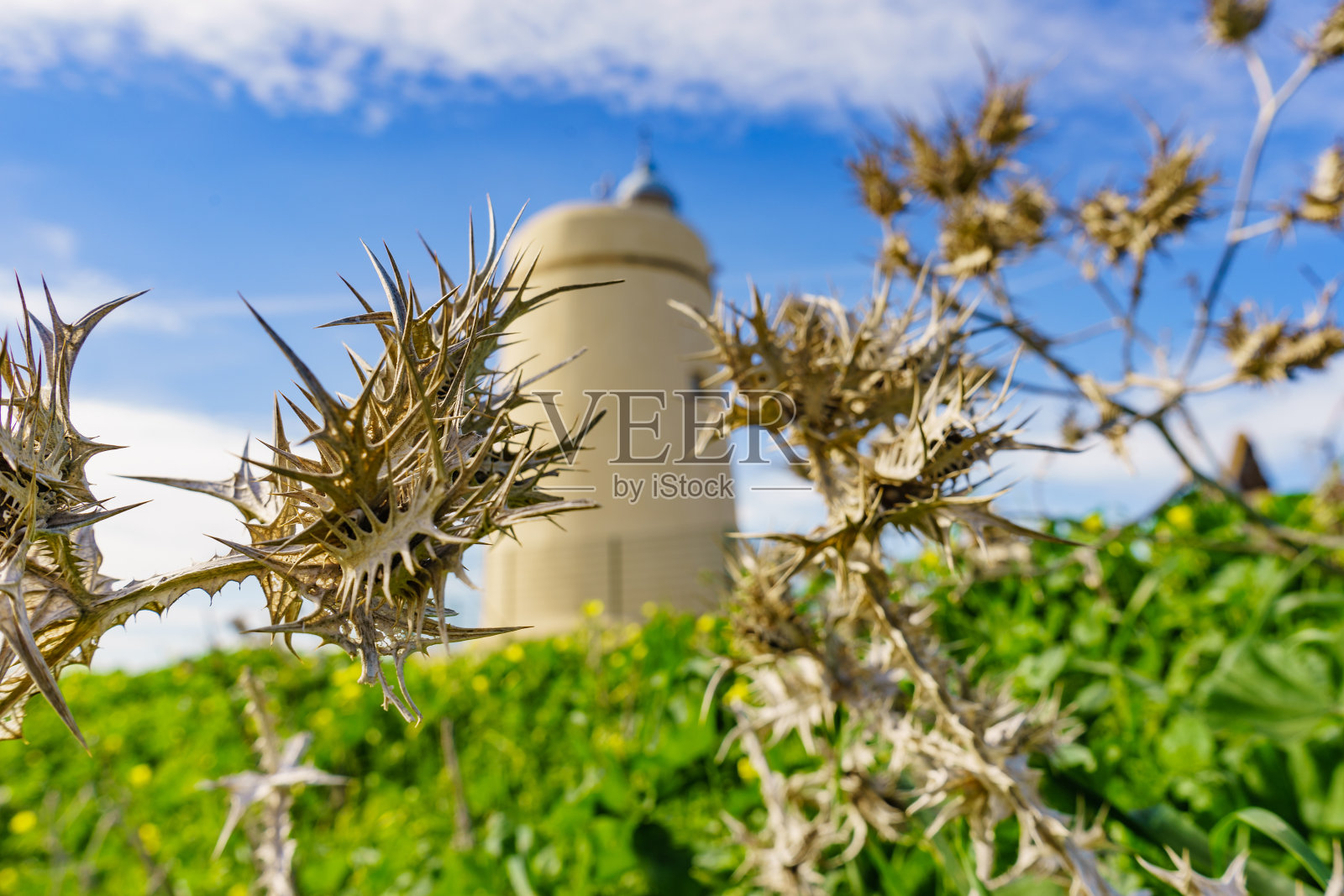 海岸植物和Carbonera灯塔，La Alcaidesa，西班牙。照片摄影图片