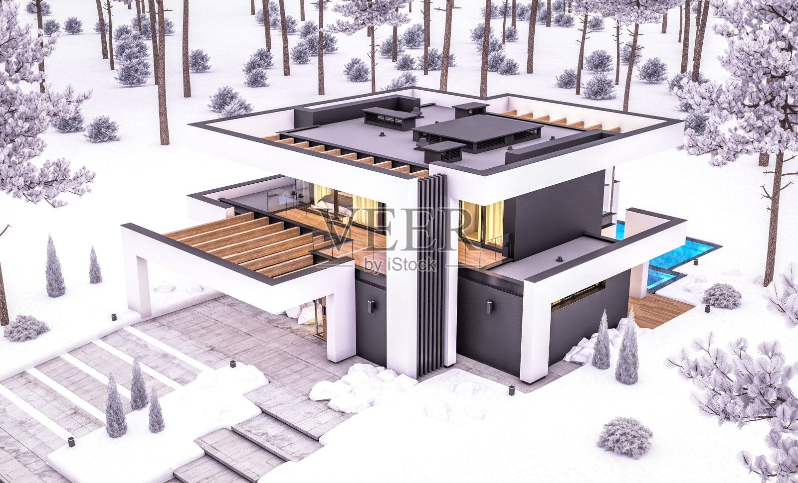 冬季夜晚豪华风格现代住宅的3D渲染图照片摄影图片