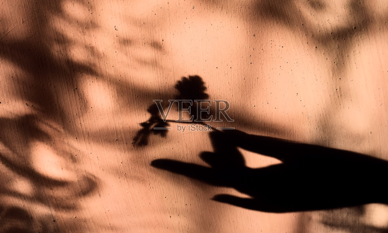 模糊的阴影的女性手握树枝与树叶在垃圾墙背景与花边花图案。照片摄影图片