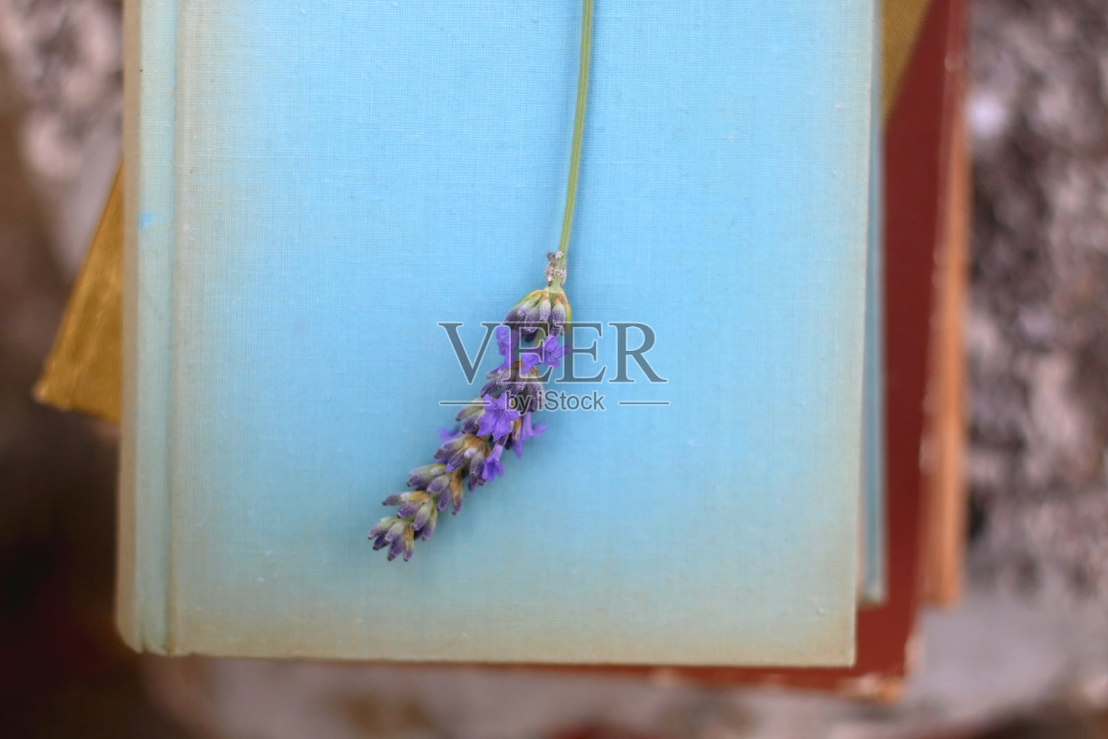 经典书籍和薰衣草花照片摄影图片