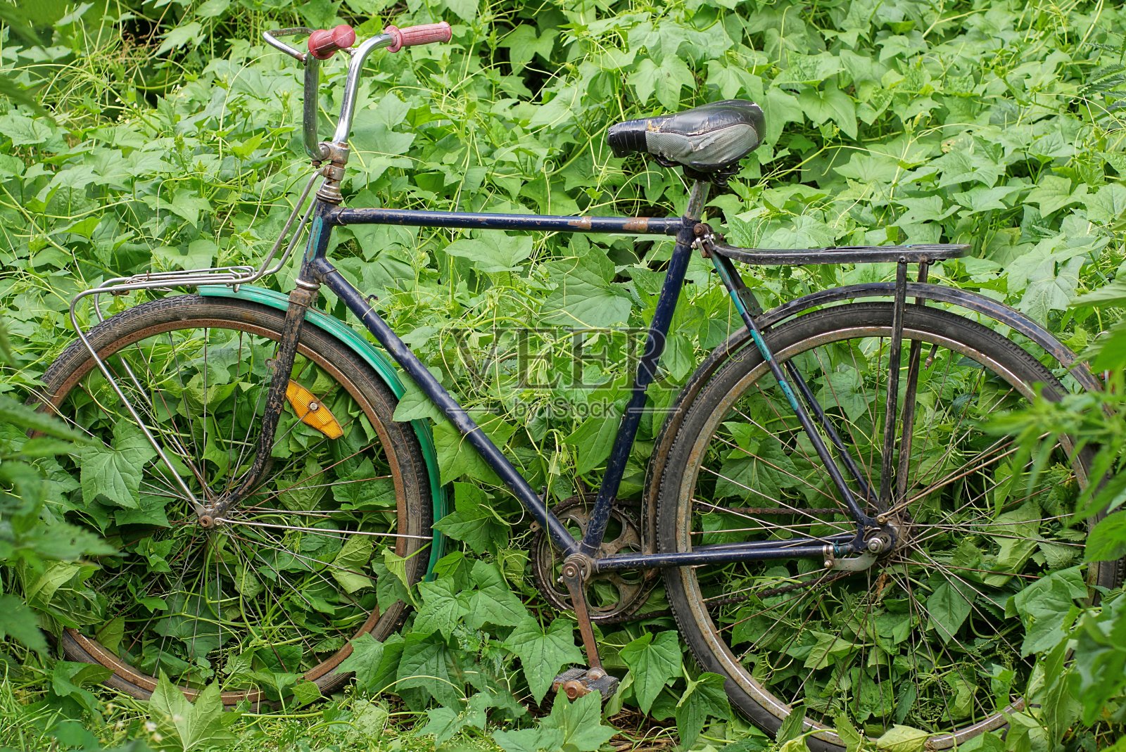 一辆老式的黑色自行车停在绿色的草地上照片摄影图片