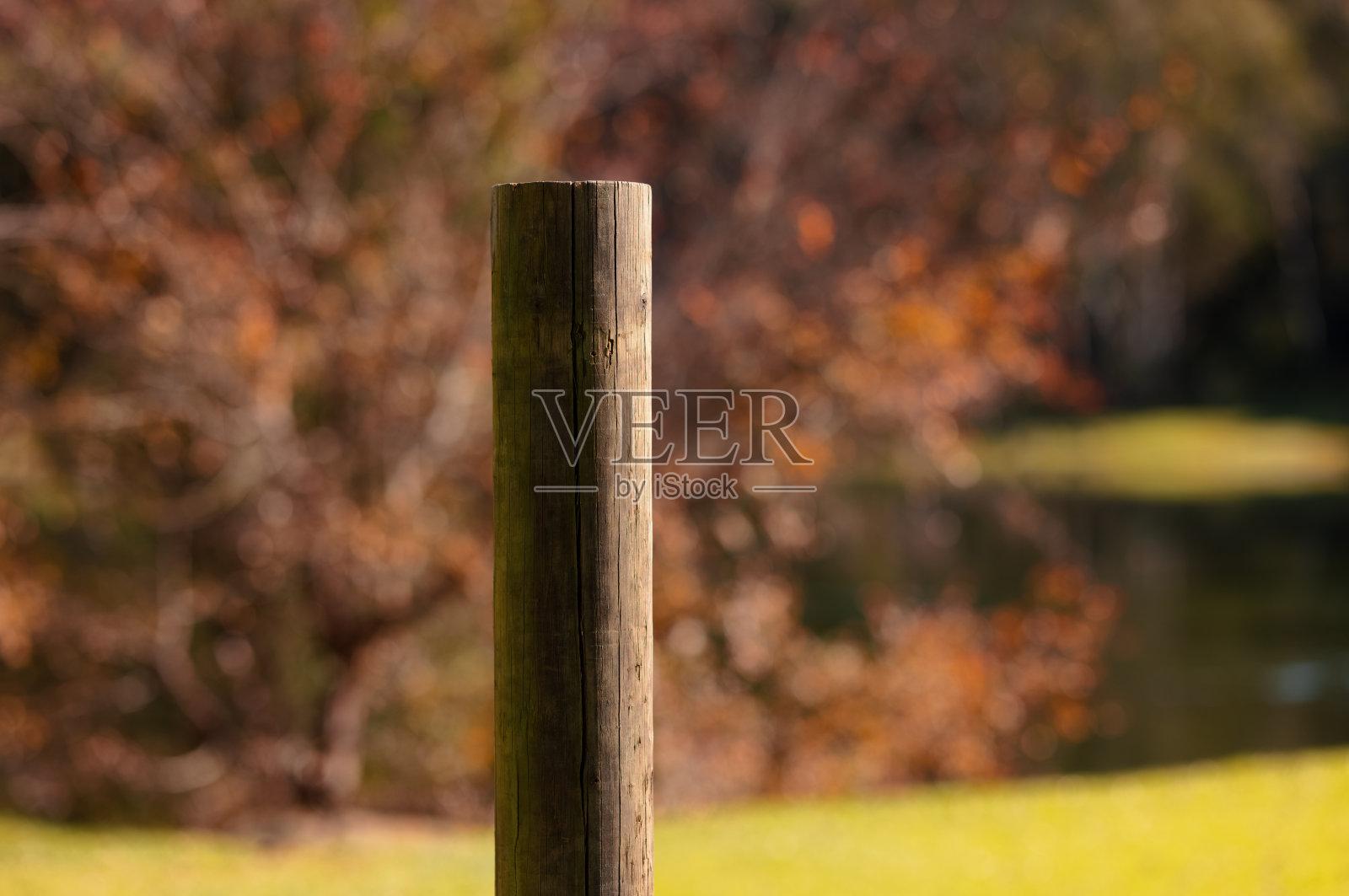 木柱的一部分照片摄影图片