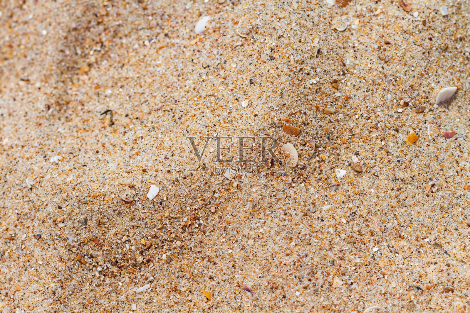 五颜六色的沙粒带着贝壳照片摄影图片