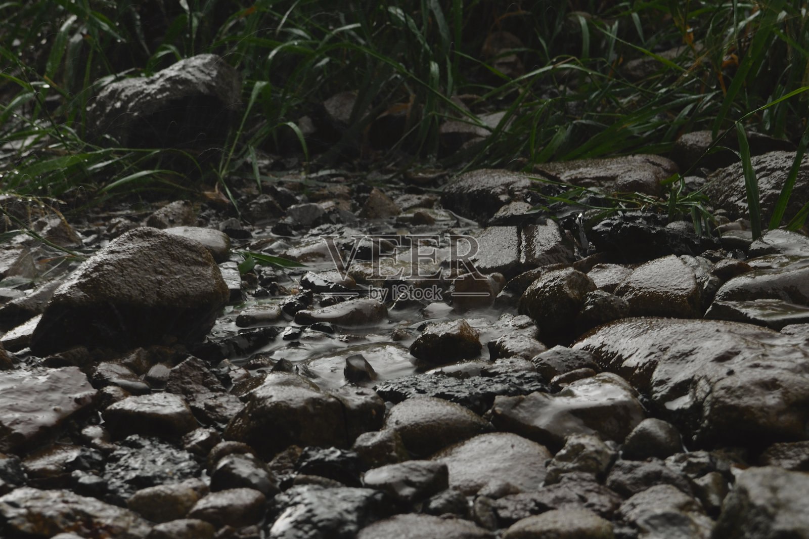 大自然雨后，湿石，大自然背景，雨后照片摄影图片