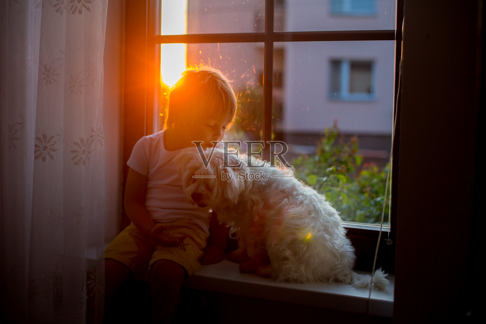 可爱的蹒跚学步的孩子，和宠物狗坐在日落的窗户上照片摄影图片