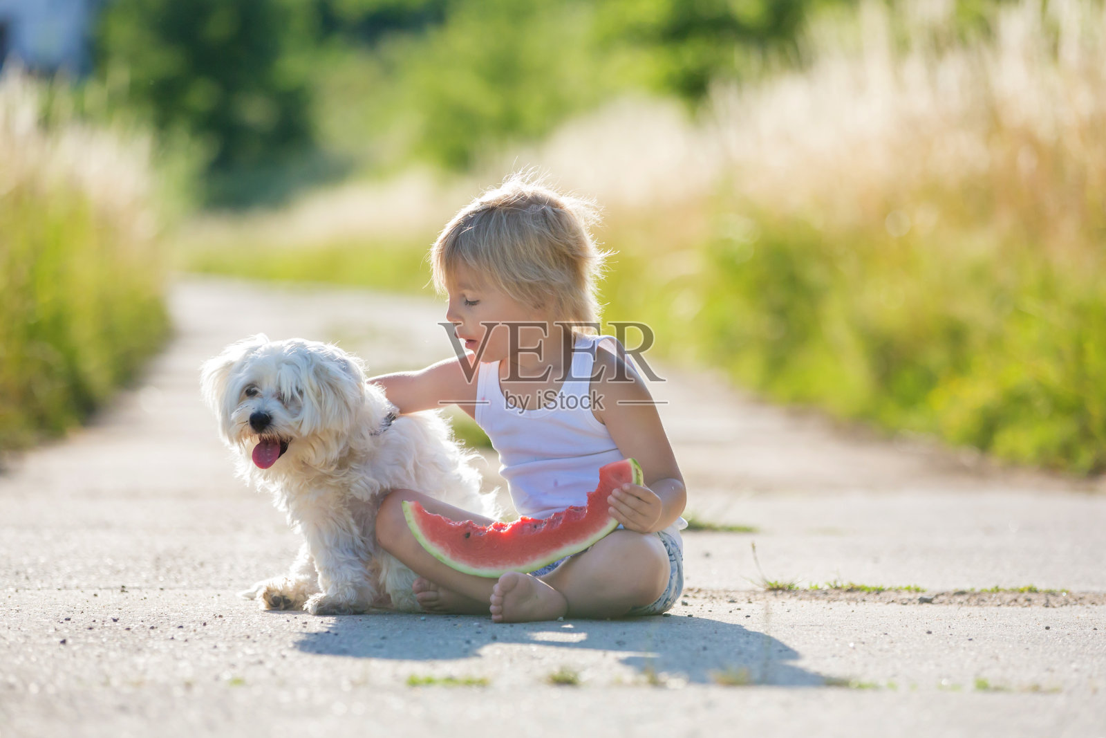 可爱的金发小孩，蹒跚学步的男孩和宠物狗，在花园里吃西瓜照片摄影图片