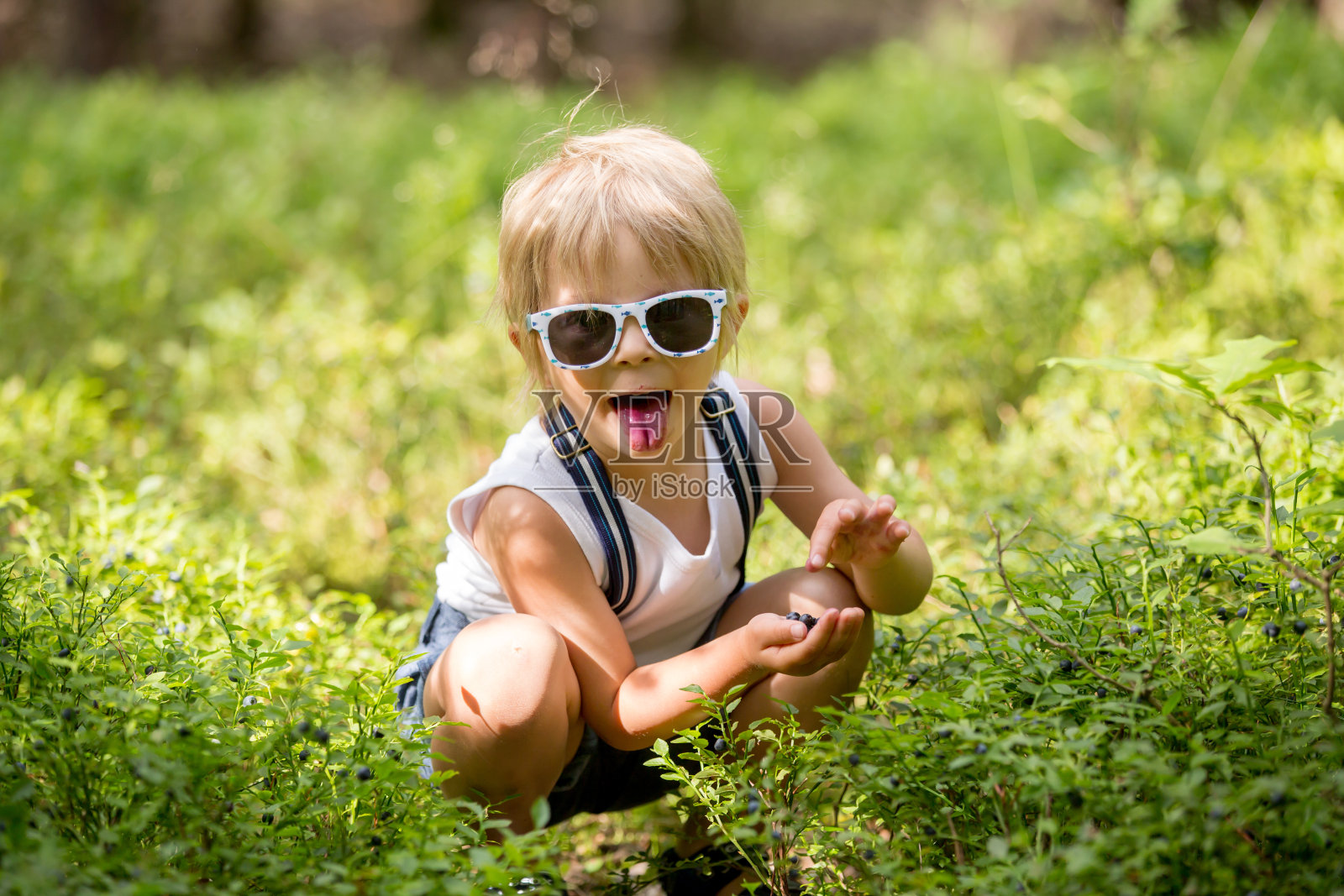 蹒跚学步的金发小孩，在森林里吃野蓝莓照片摄影图片