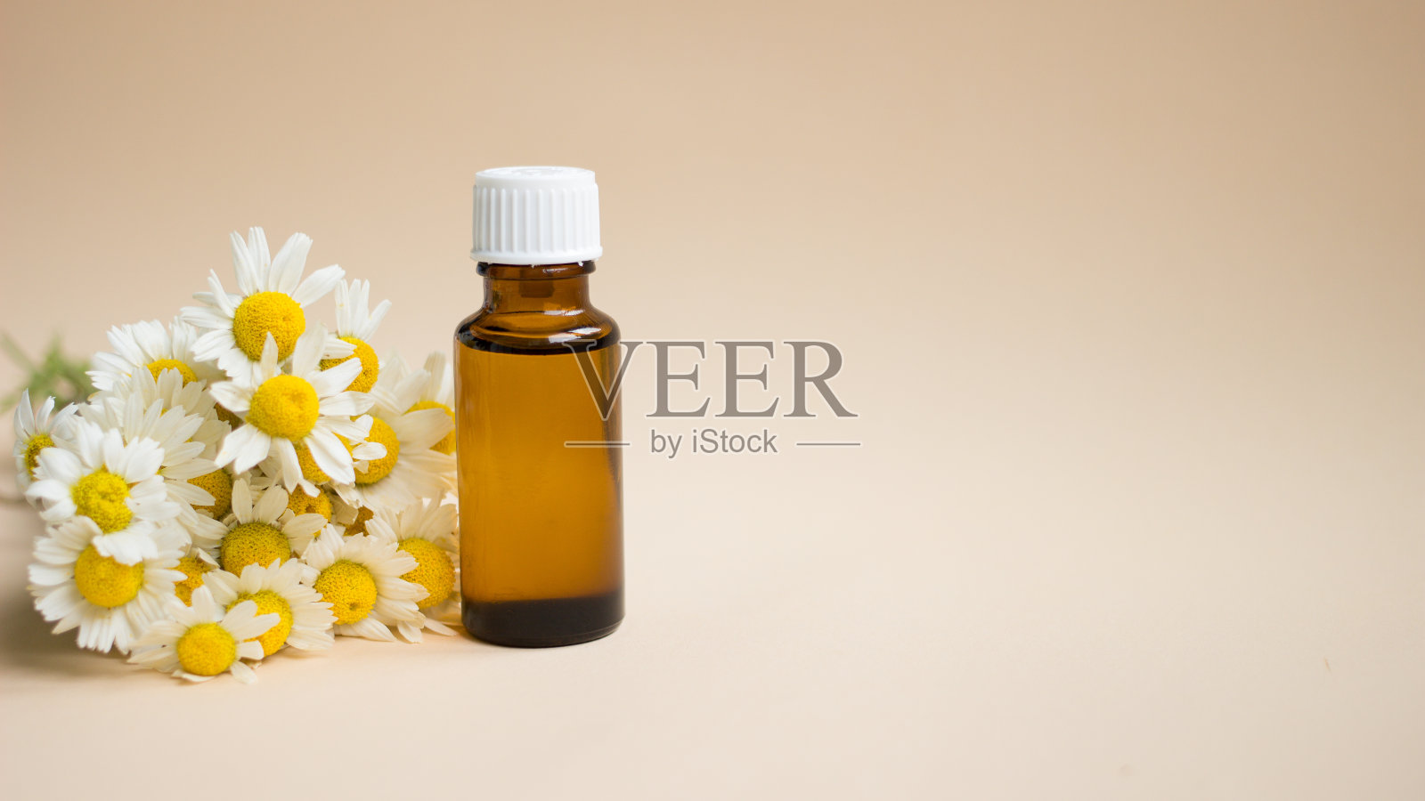 小杯甘菊精油与新鲜的甘菊花在浅米色背景。雏菊花，近处。化妆品，水疗，芳香疗法和草药成分。本空间照片摄影图片