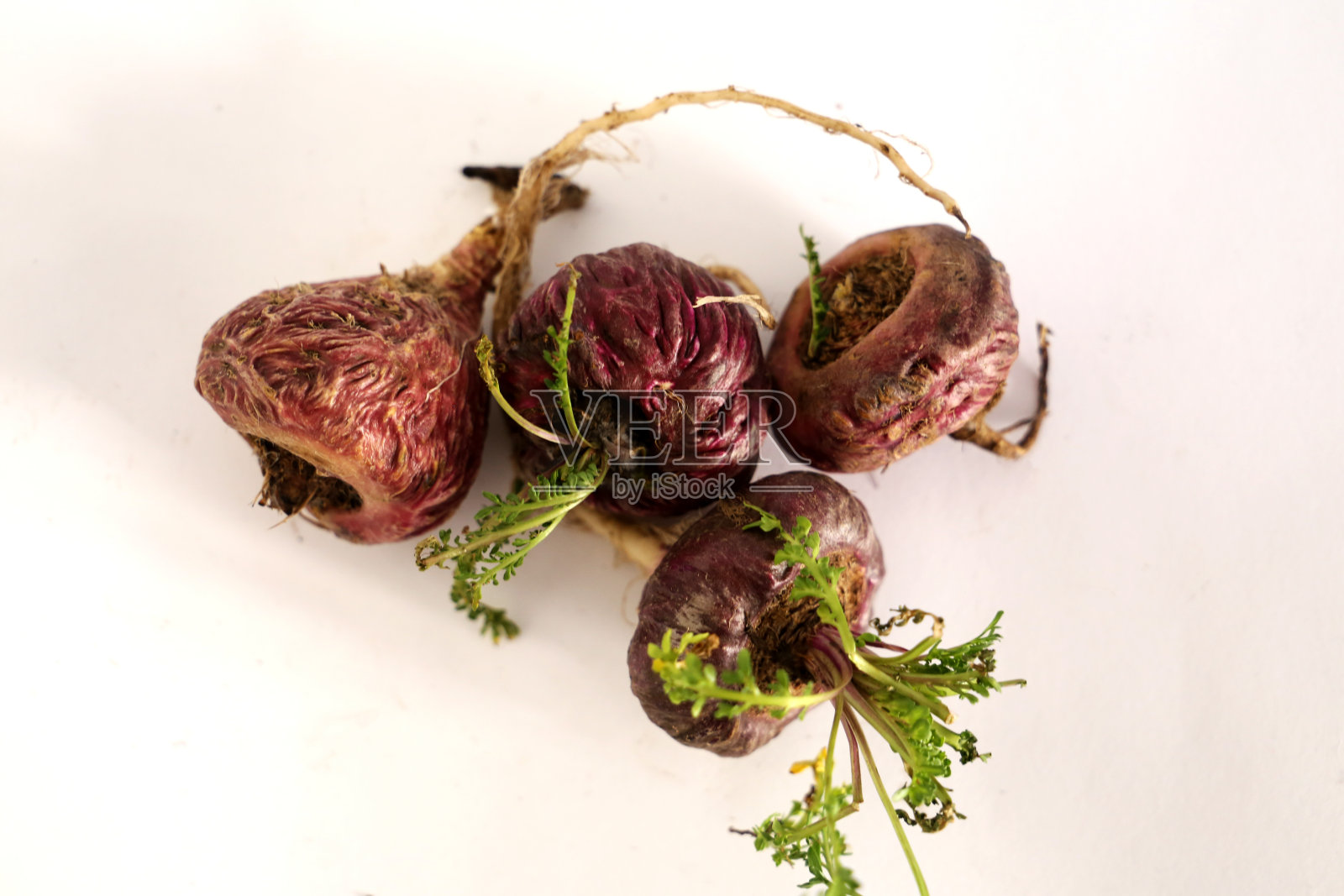 秘鲁马卡照片摄影图片