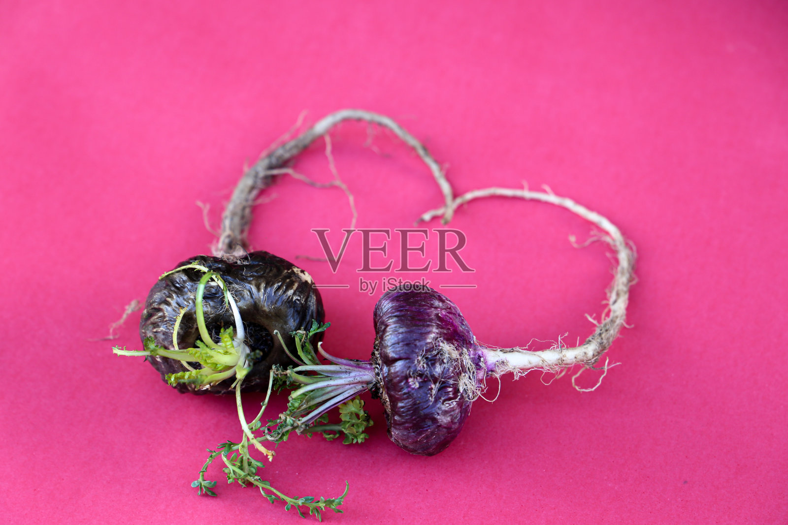 秘鲁马卡照片摄影图片