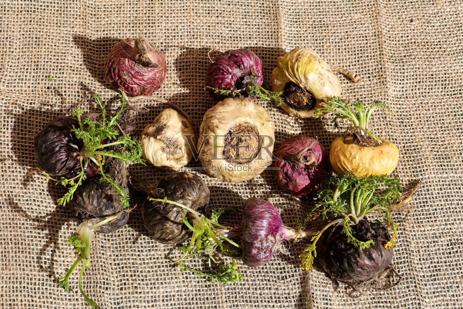 秘鲁马卡照片摄影图片