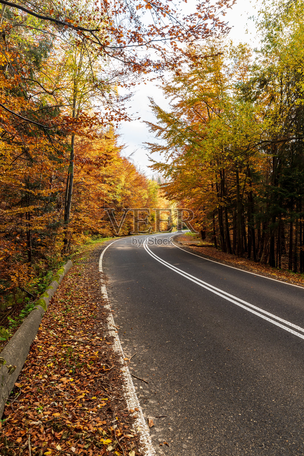 在波兰的Beskid Slaski山脉中，五彩缤纷的秋天森林里的道路咆哮着Przelecz Salmopolska照片摄影图片