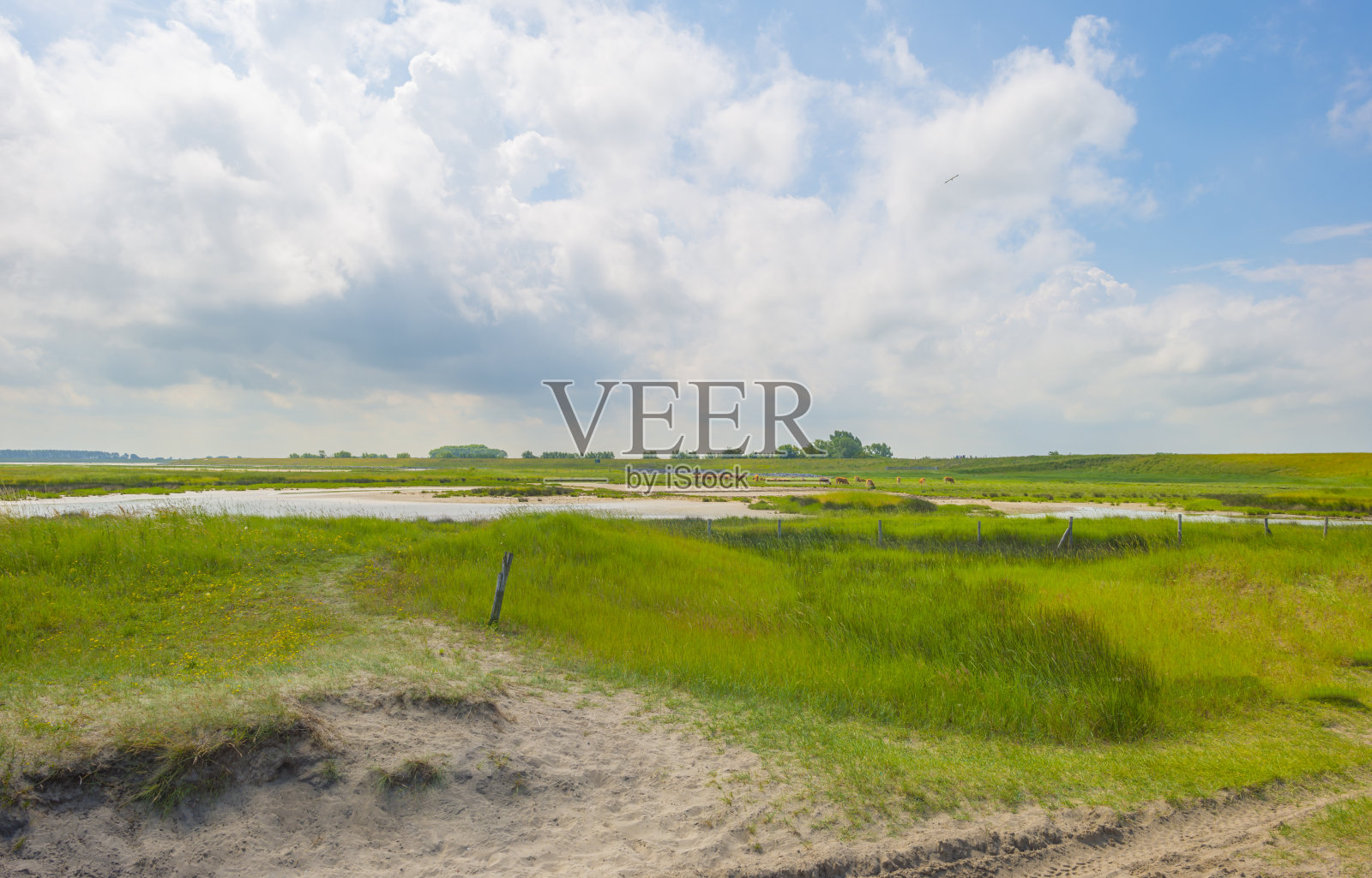 北海海岸的一个潮汐口自然保护区，在明亮的蓝白色多云的夏季天空下照片摄影图片