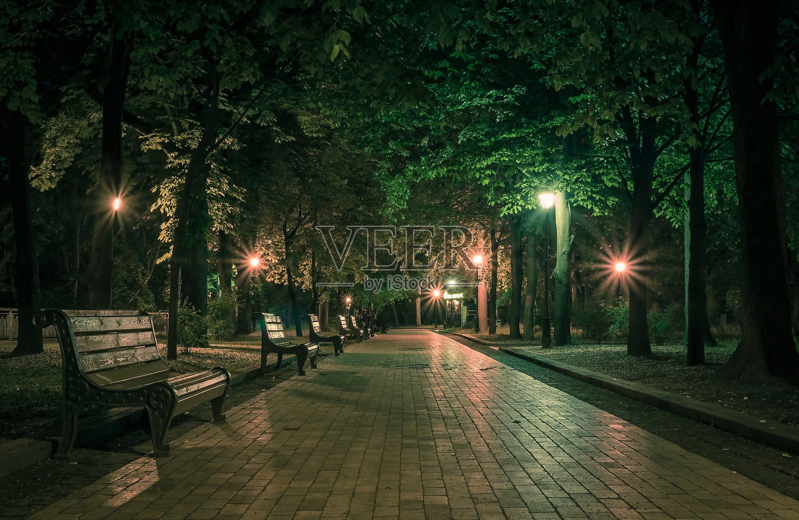 夜晚绿油油的公园里铺满了春灯。在春天的夜晚，公园里的长椅。在晚上用灯笼照亮公园的道路。马林斯基公园。乌克兰照片摄影图片