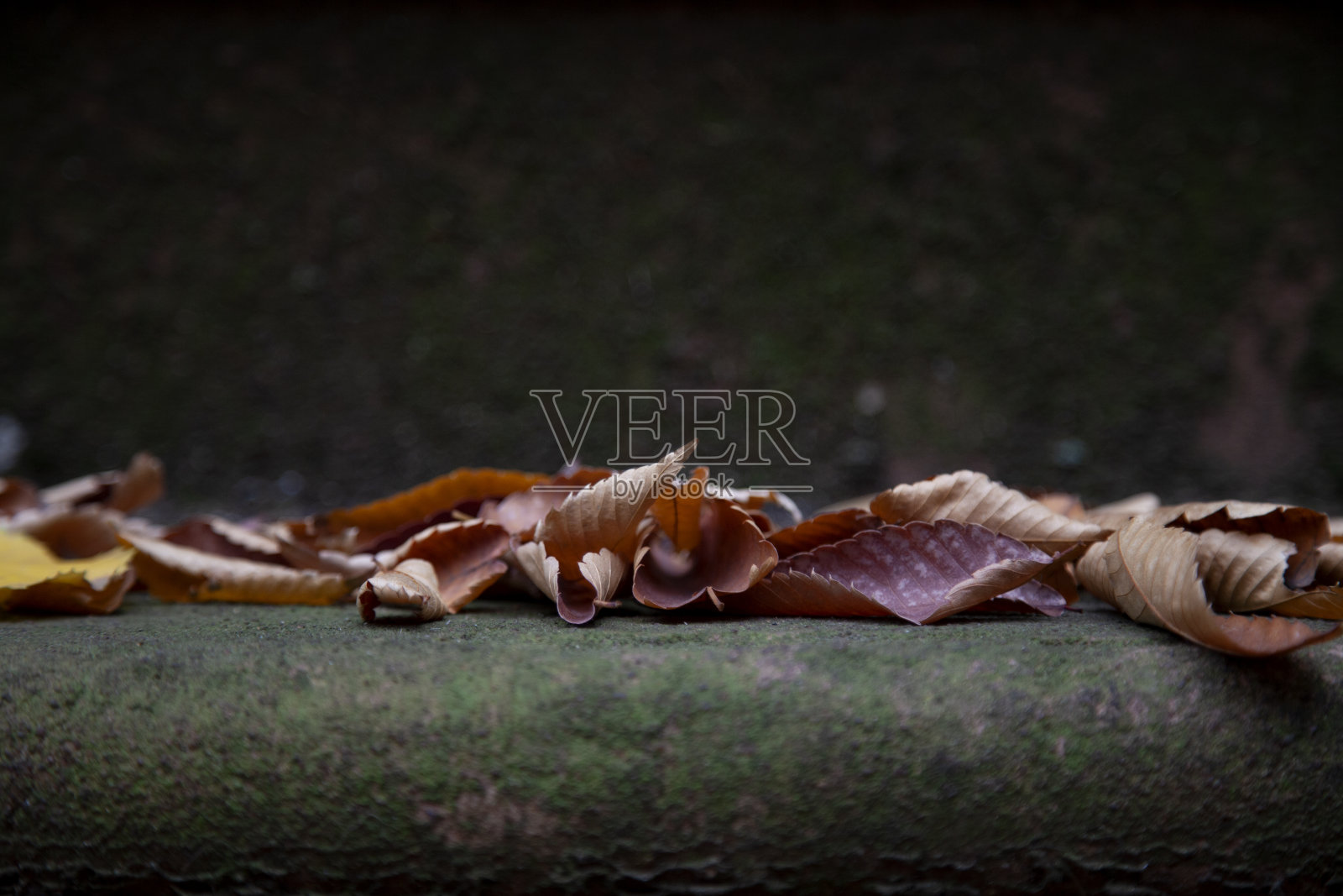 前门廊上收集着落叶照片摄影图片