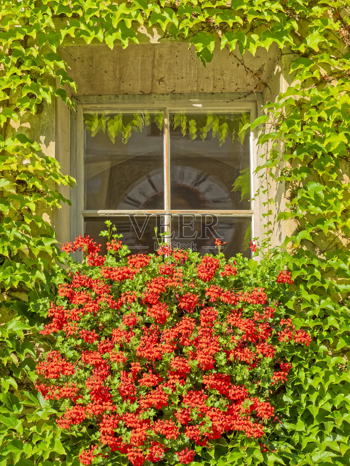 意大利蒂罗尔地区照片摄影图片