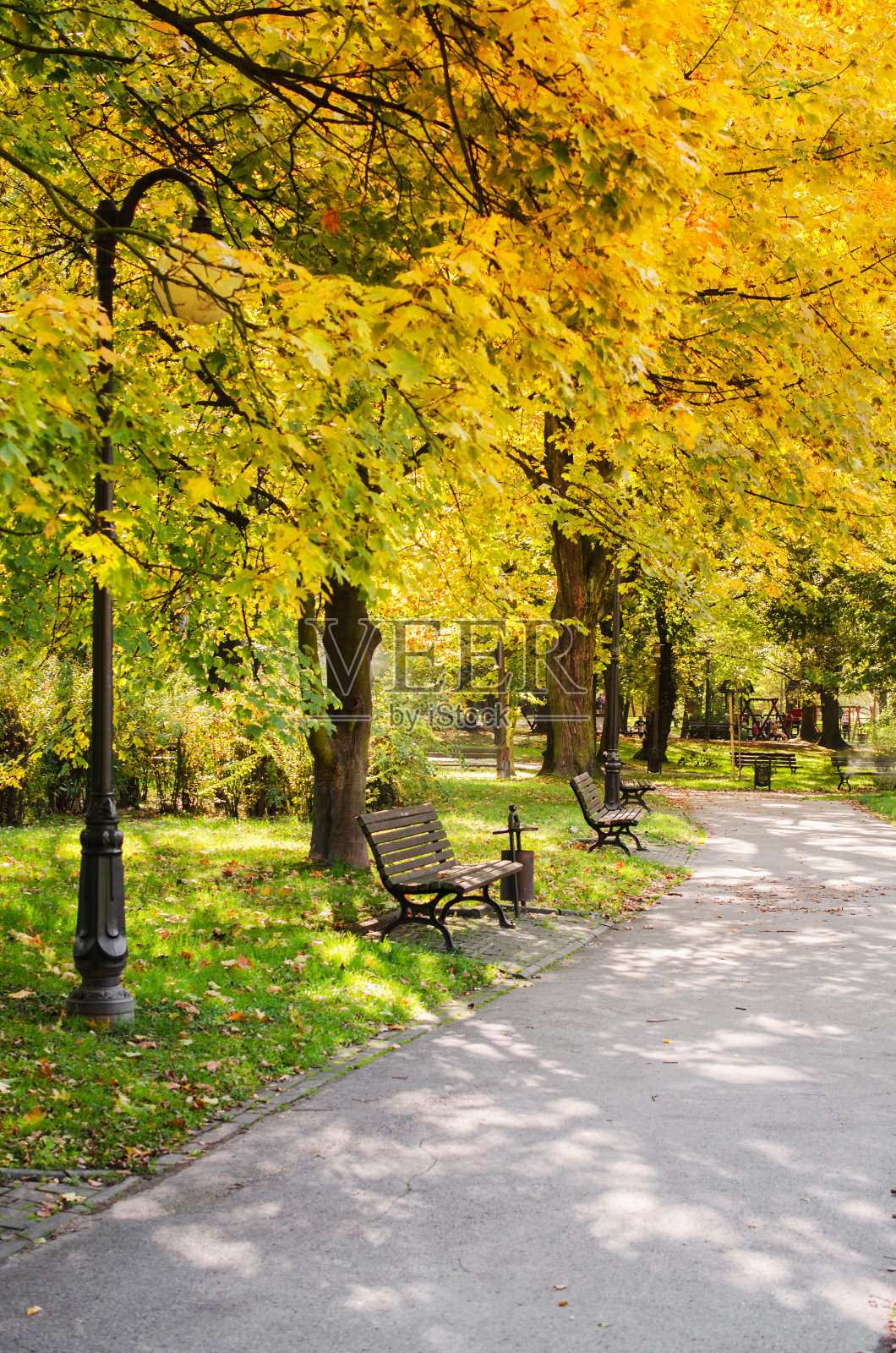 秋天的城市公园。秋天的风景。美丽的秋天公园在阳光明媚的天气。照片摄影图片