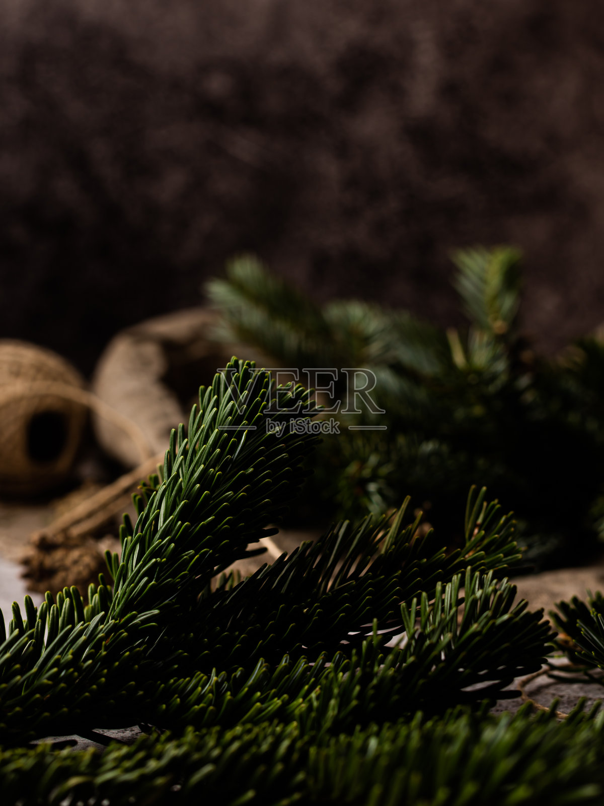 云杉分支。美丽的云杉枝与针。照片摄影图片