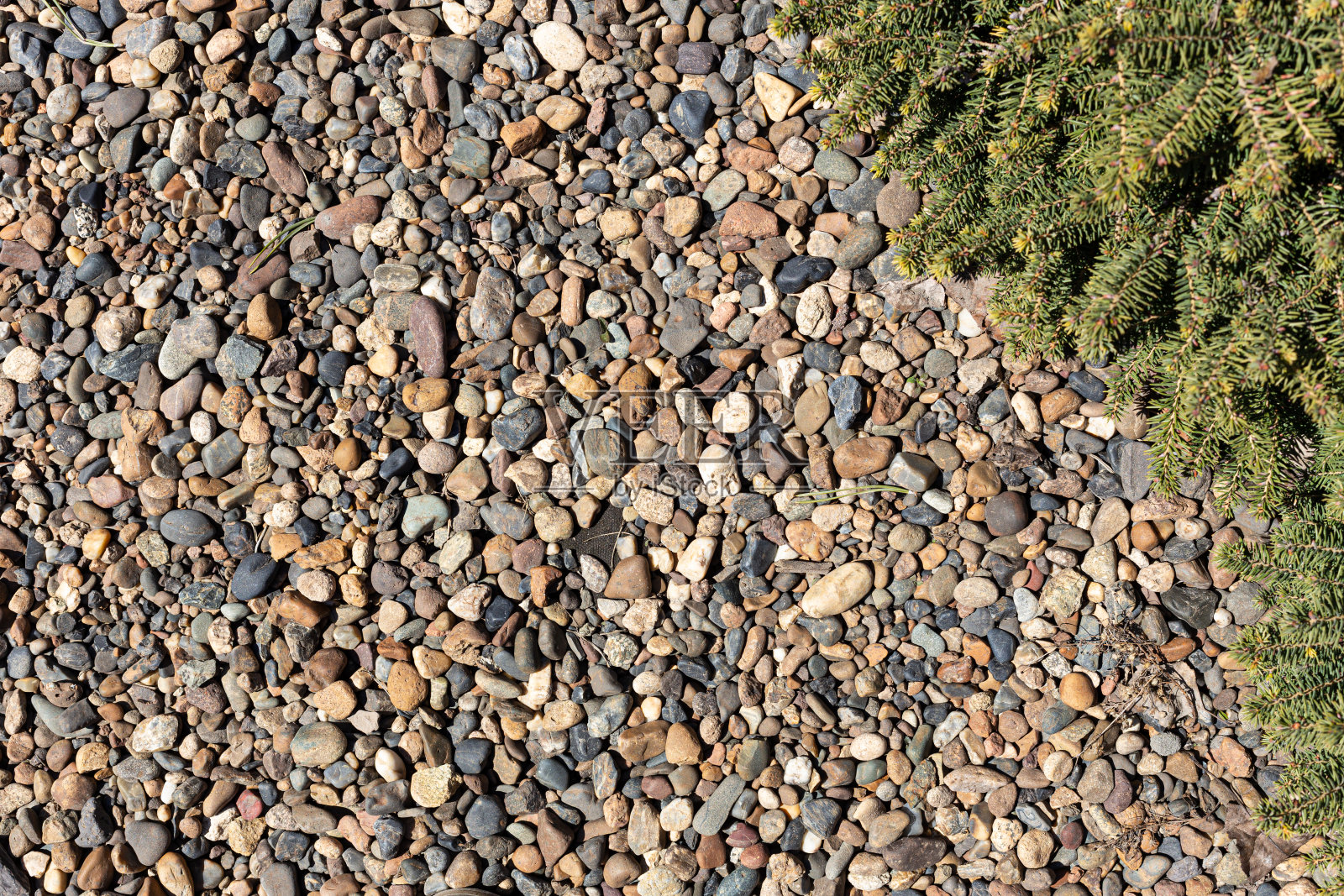 阳光明媚的日子里的彩色鹅卵石。背景照片摄影图片