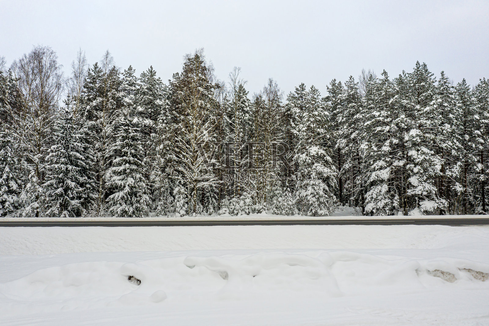 冬天的路穿过树林，树上覆盖着积雪照片摄影图片