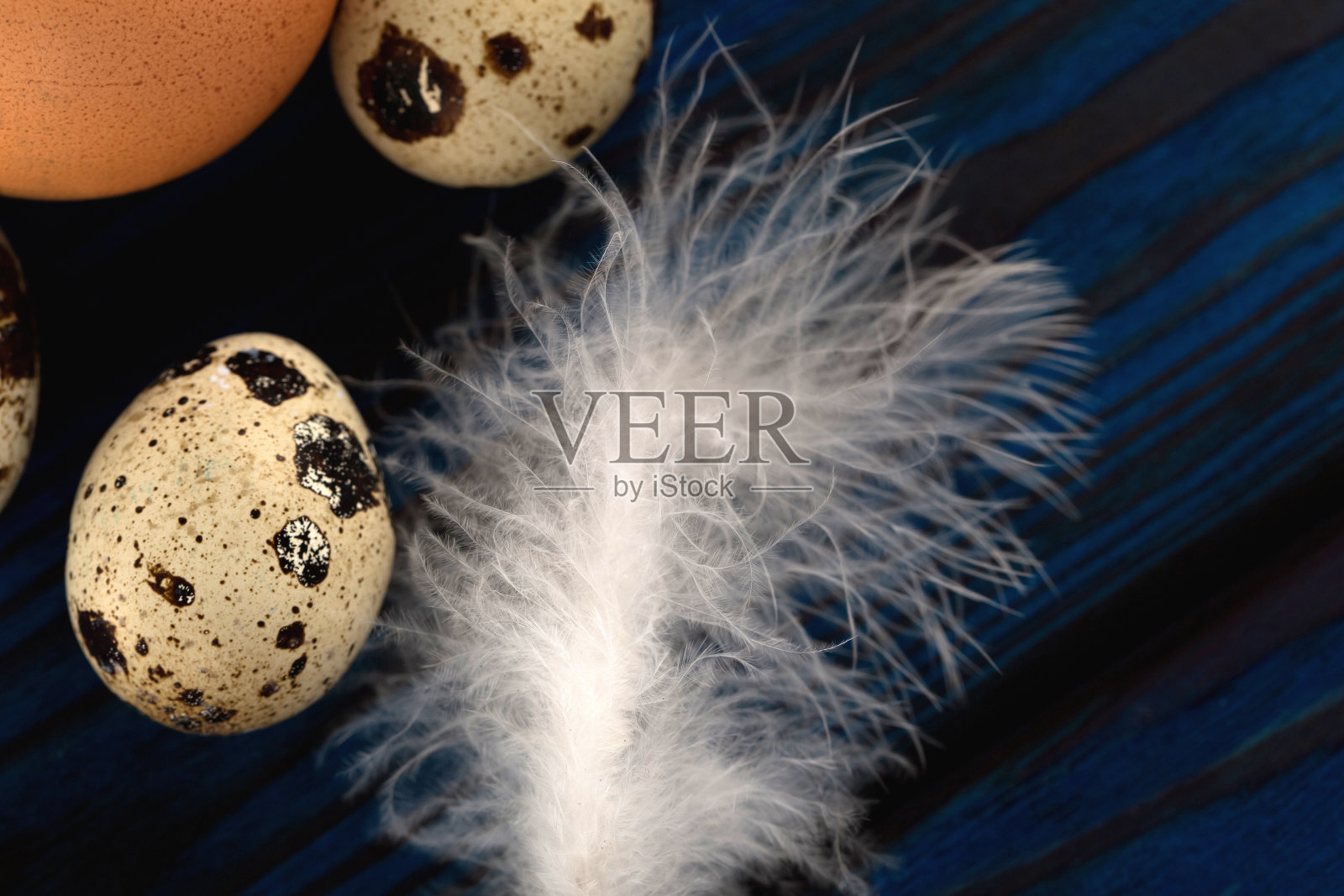鸡毛和鸡蛋的特写。照片摄影图片