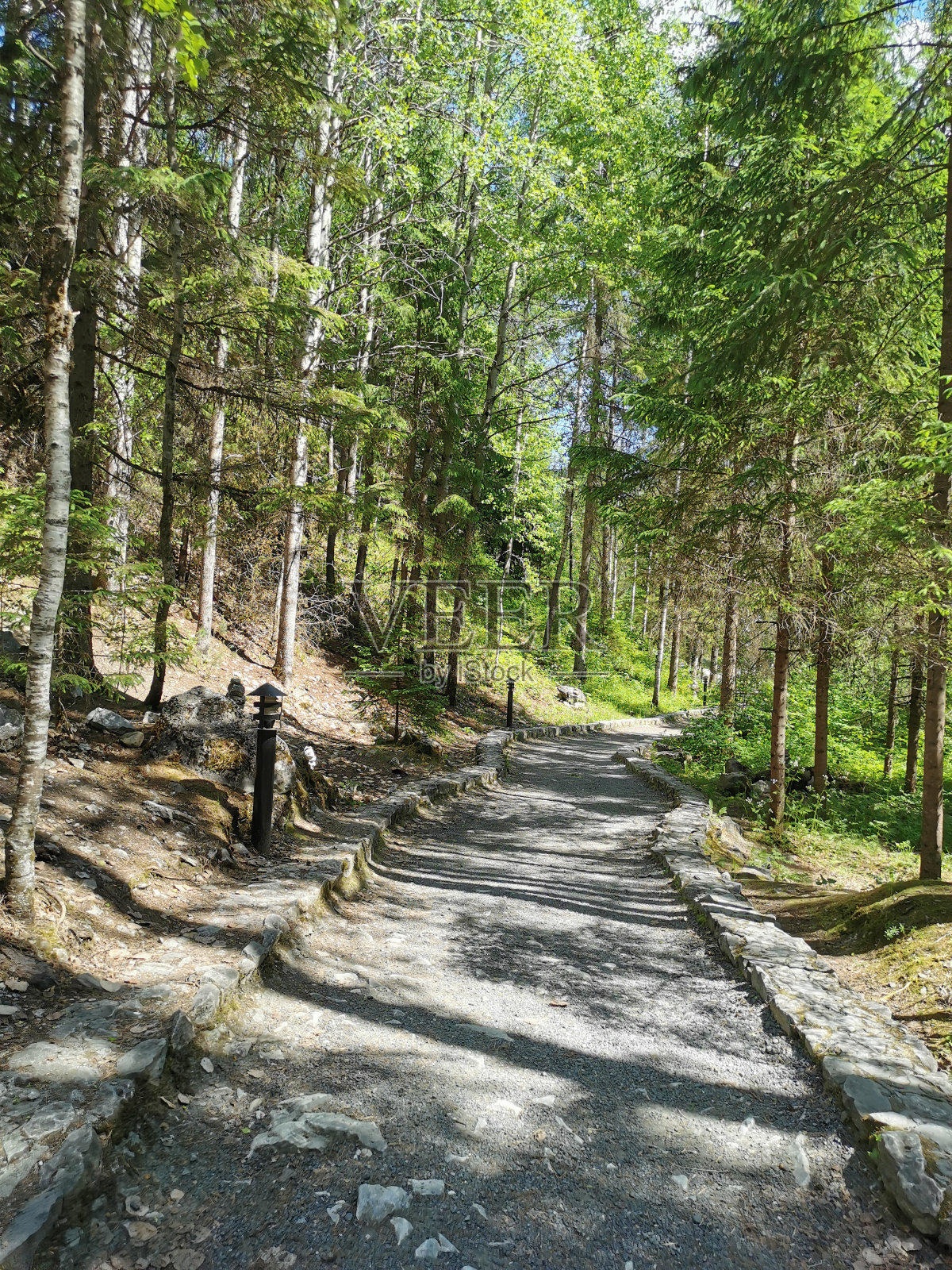 在一个阳光明媚的夏日，在Ruskeala山公园的大理石峡谷周围有一道篱笆的树木之间的散步小路。照片摄影图片