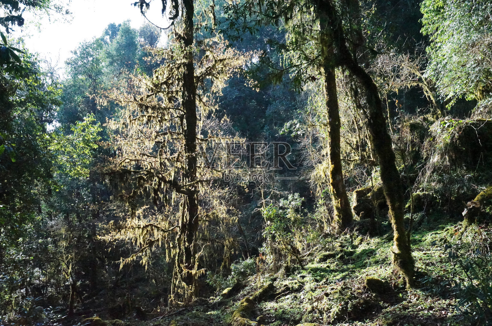 岩石小径与雪山视野和多云的蓝色天空到安纳普尔纳喜马拉雅山脉-尼泊尔照片摄影图片