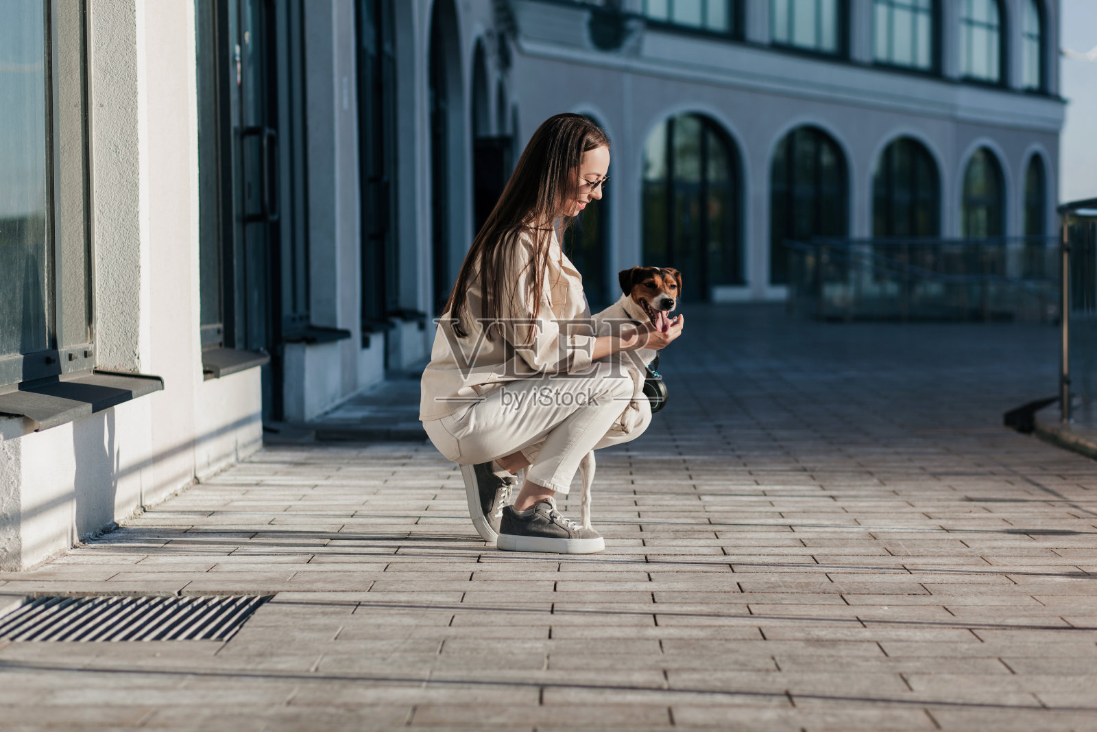 主人和帕森罗素梗狗照片摄影图片