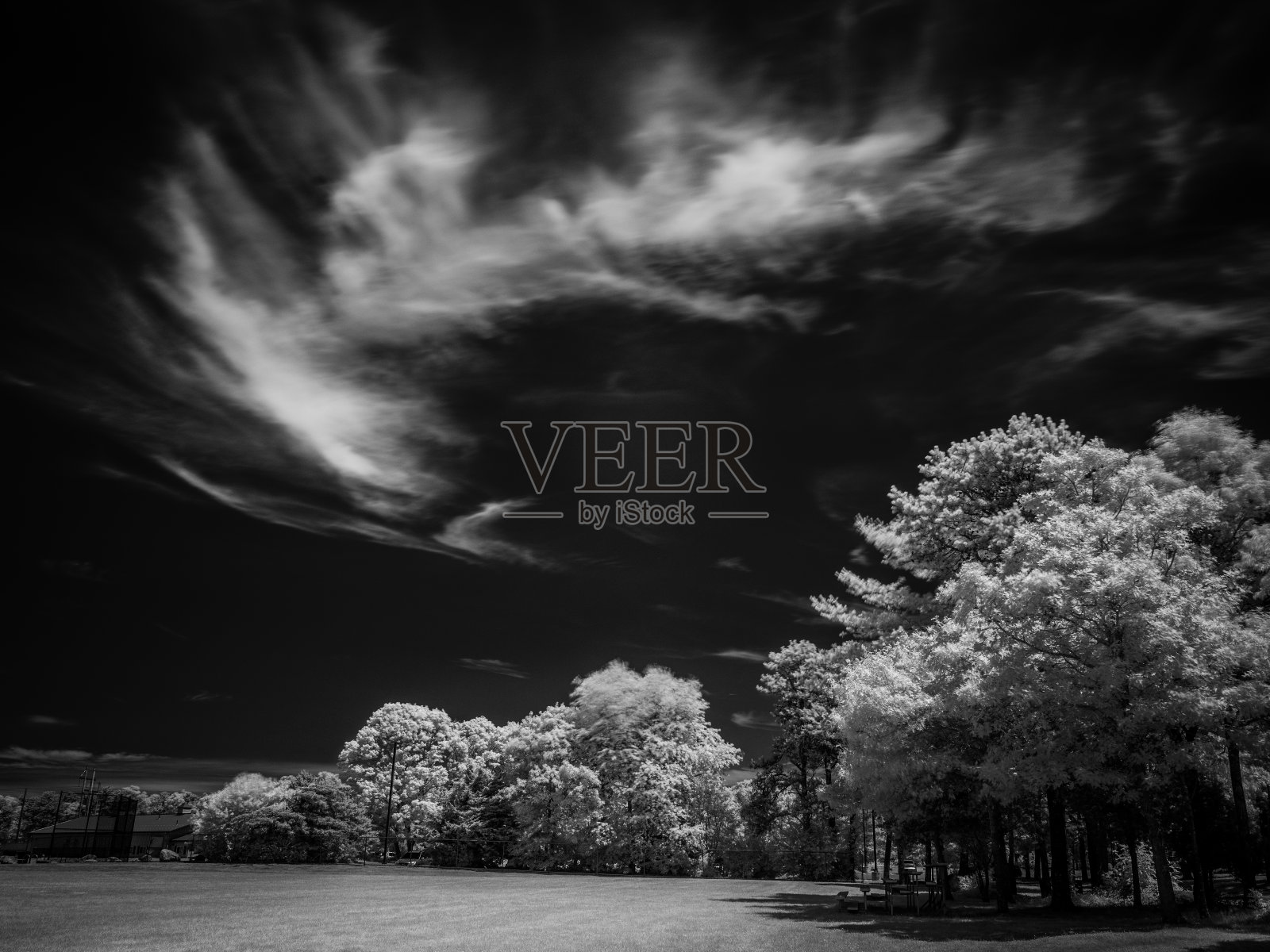 夜间有云和树的黑白红外景观。科德角法尔茅斯青年棒球场的夜景。照片摄影图片