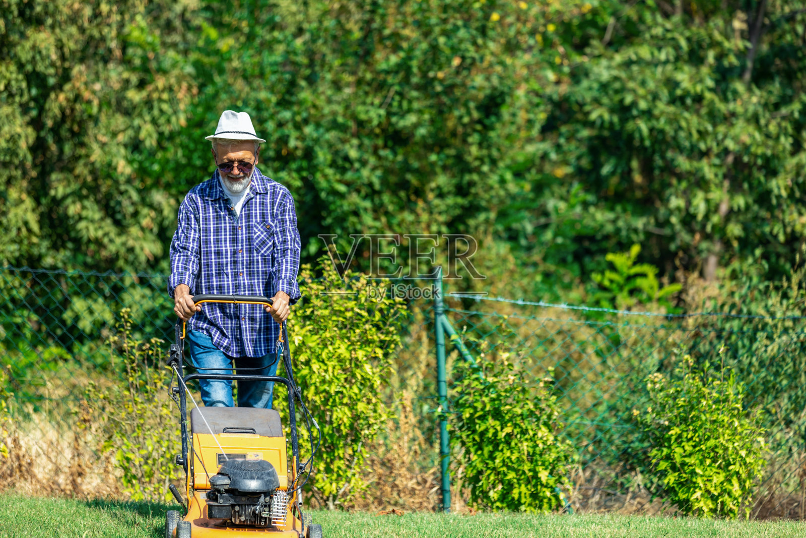 勤劳的主人在一个阳光明媚的夏日照看草坪。照片摄影图片