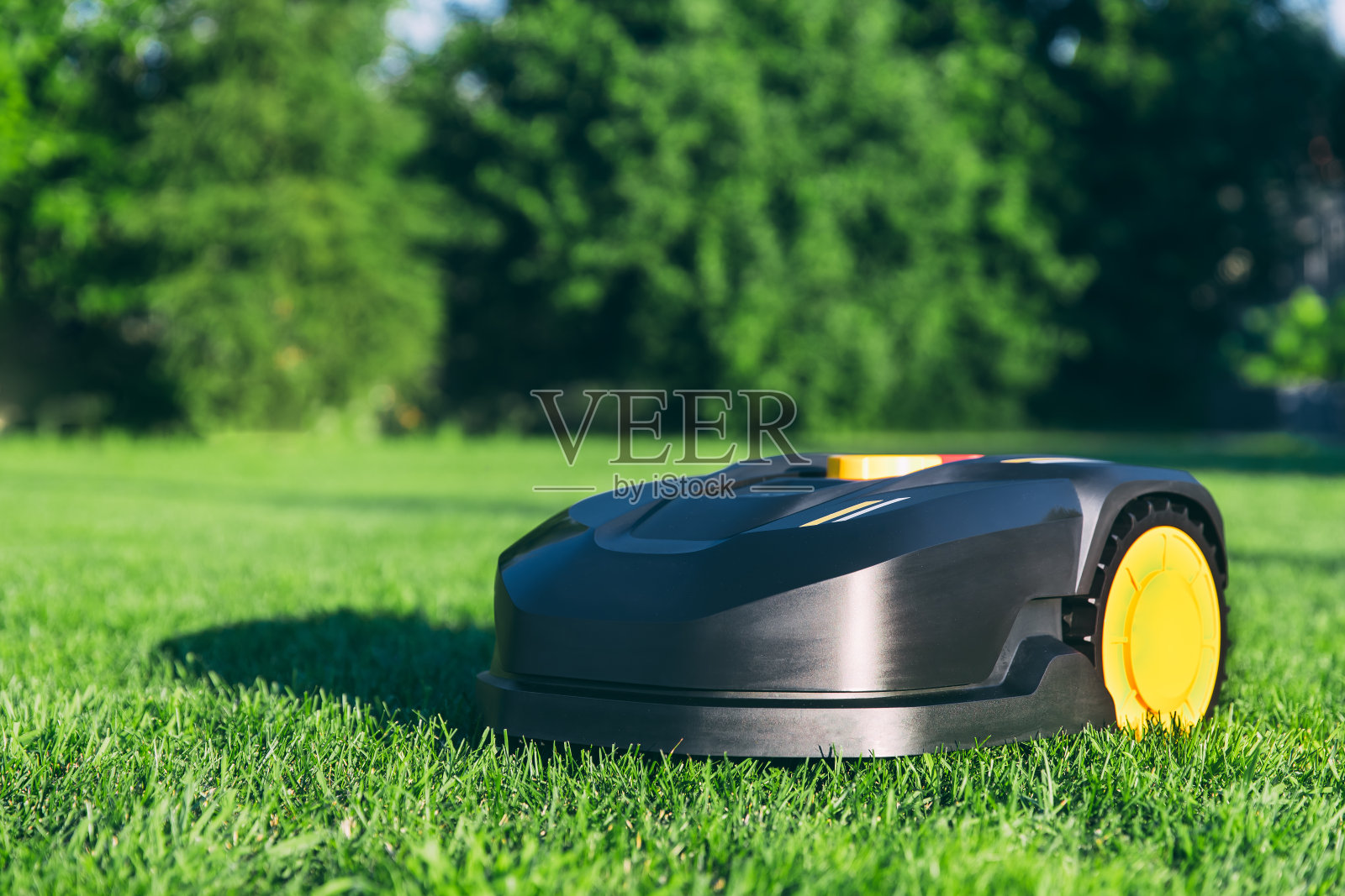 机器人割草机在花园里割草。现代花园中晴天的自动割草机。照片摄影图片
