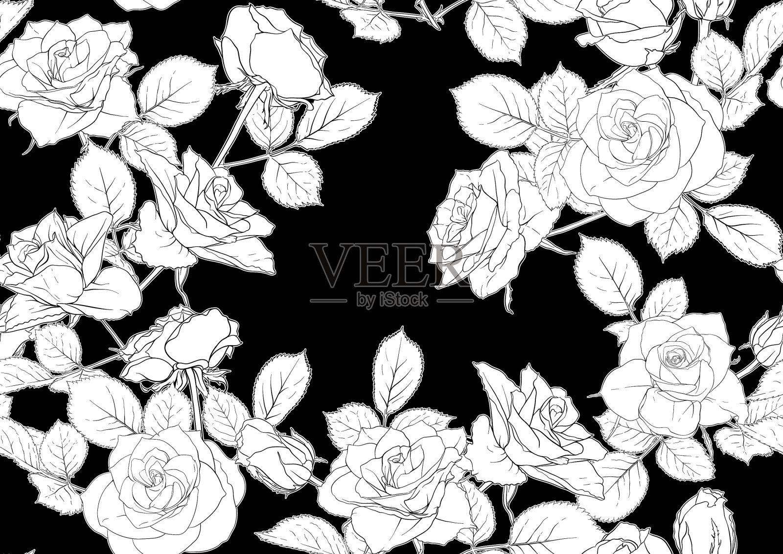 无缝图案与玫瑰花插画图片素材