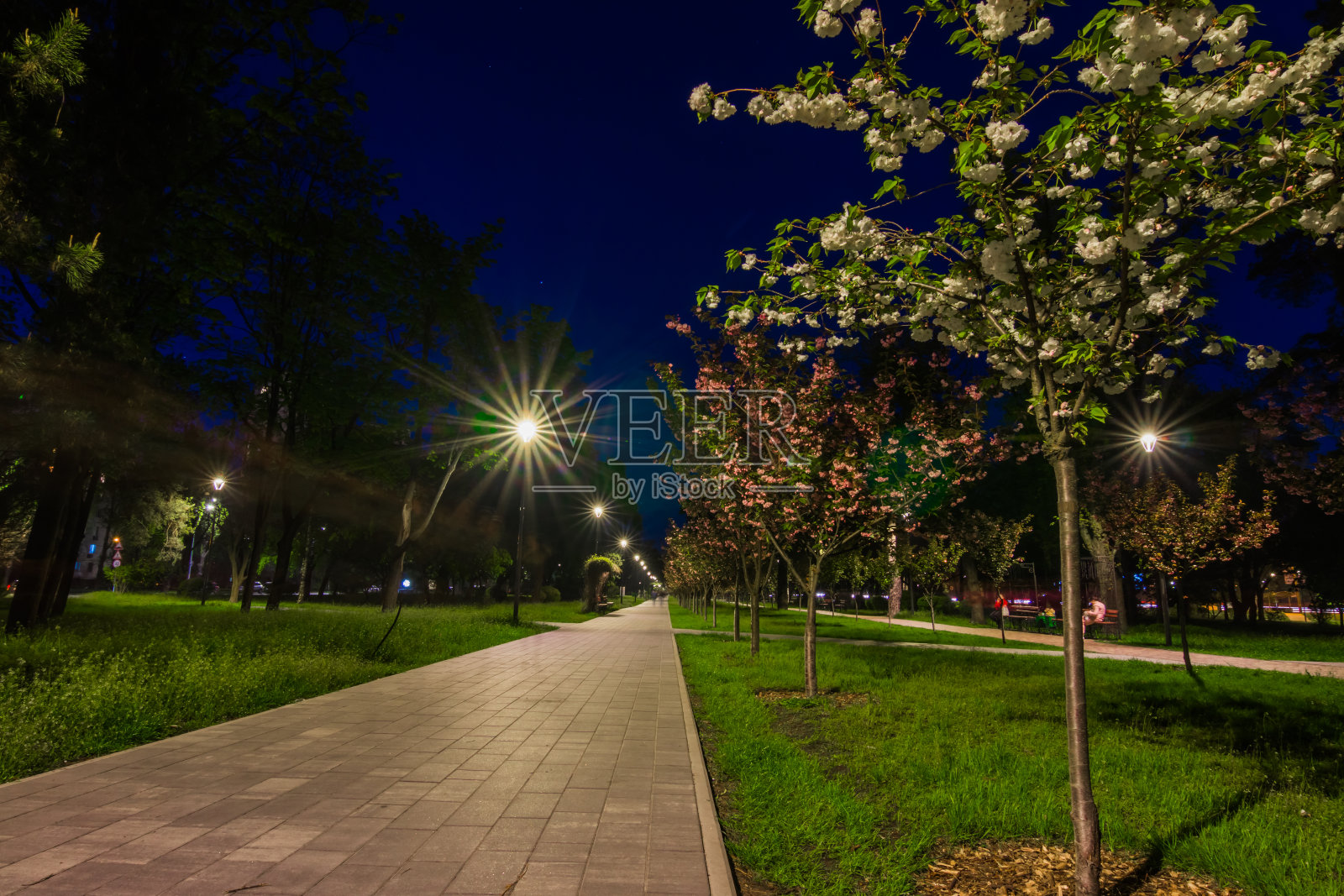 晚上公园里的瓦片路上挂着日式车灯照片摄影图片