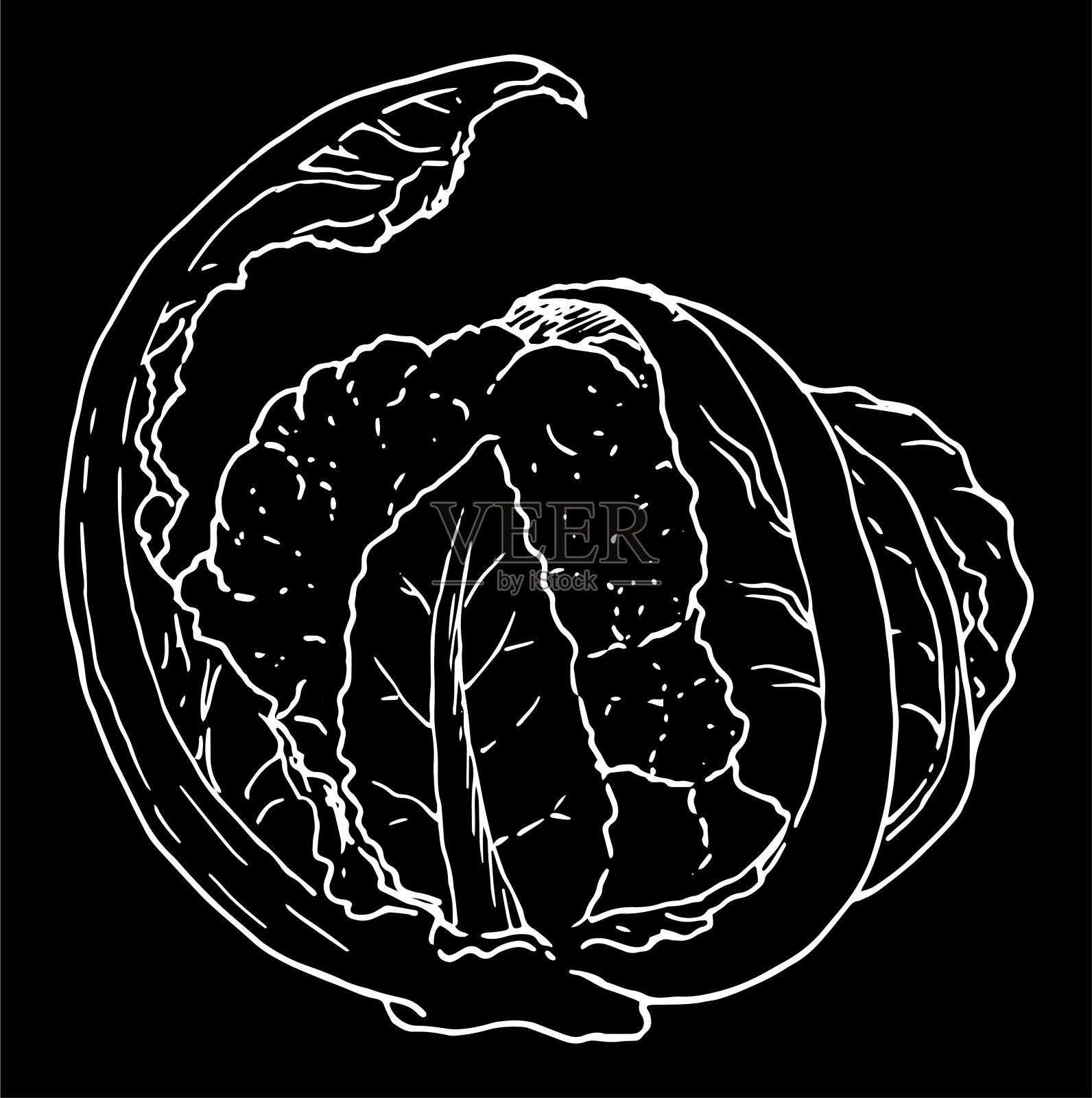 菜花的矢量绘图在草图风格与白色线在黑色的背景。花椰菜与叶侧视图。矢量孤立等高线绘制的素食食品标签设计模板，标志标识插画图片素材