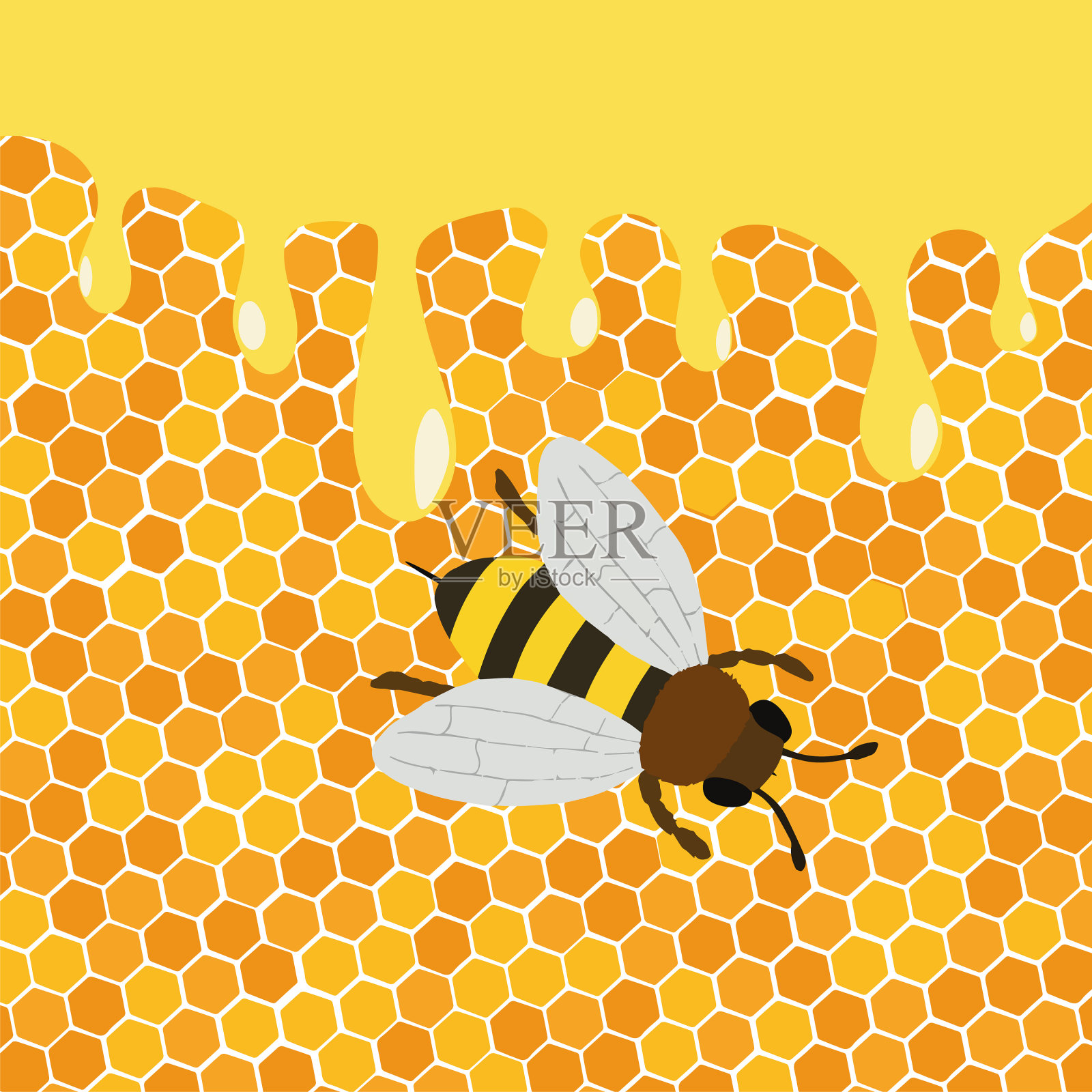 蜂蜜从蜜蜂身上滴落插画图片素材