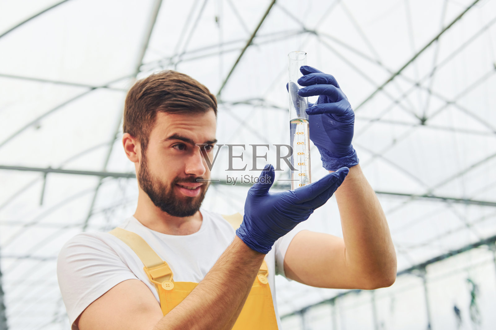 试管。穿着黄色制服的温室工人在温室内工作照片摄影图片