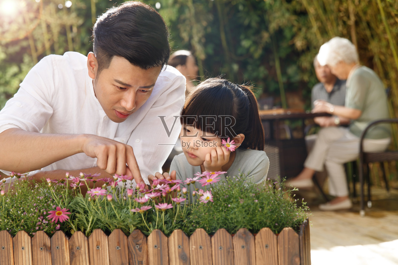 幸福家庭在庭院里照片摄影图片