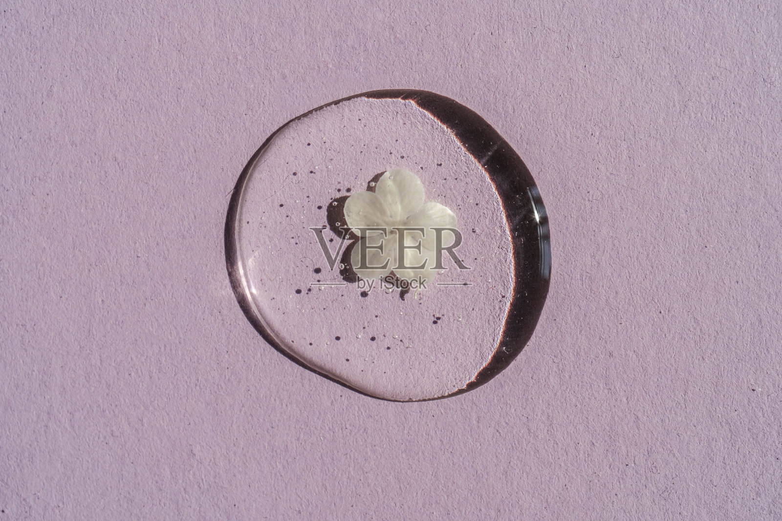 一滴透明的化妆品凝胶与花在紫色的背景。照片摄影图片