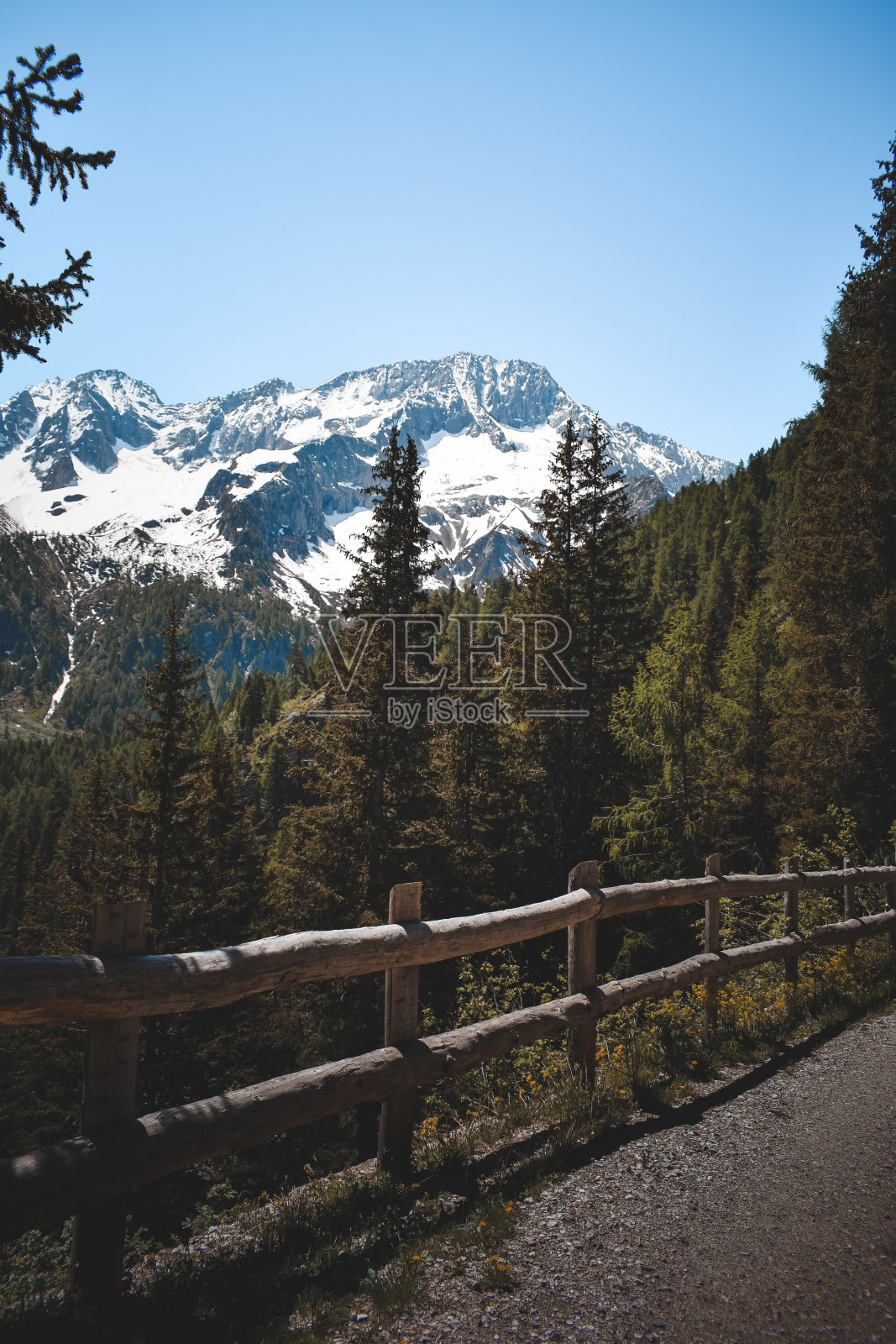 意大利森林的美景照片摄影图片