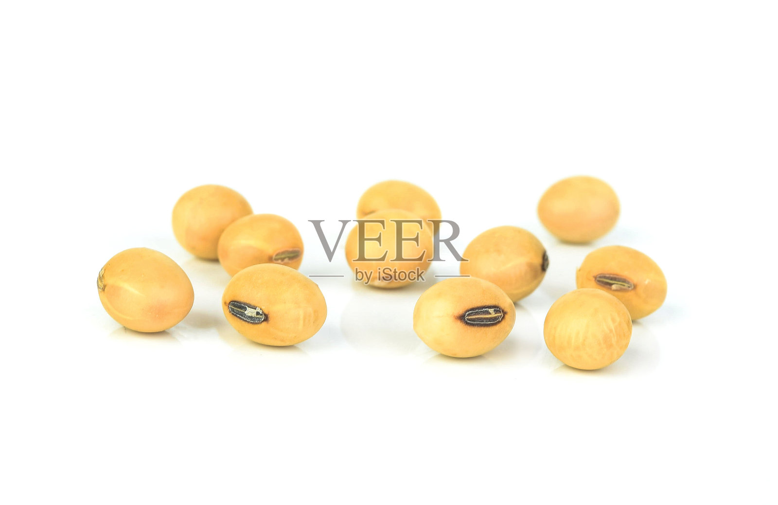 在白色背景下分离的大豆照片摄影图片