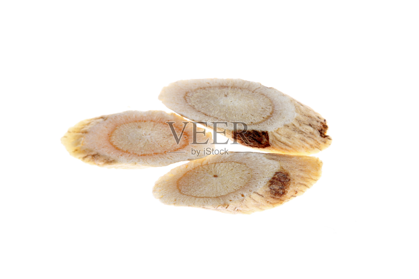 中草药黄芪属，背白色照片摄影图片