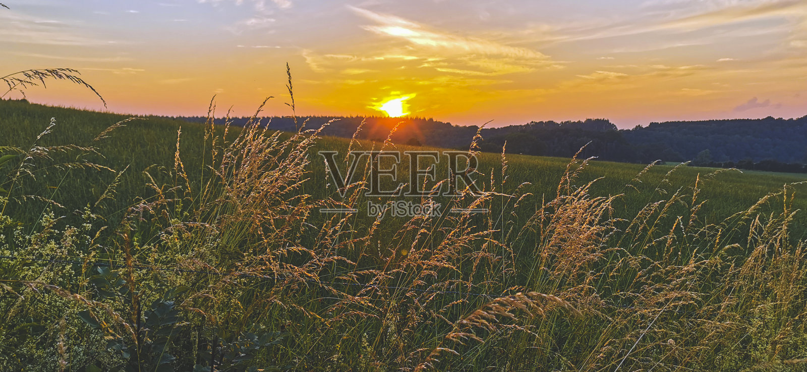 草地上的日落照片摄影图片
