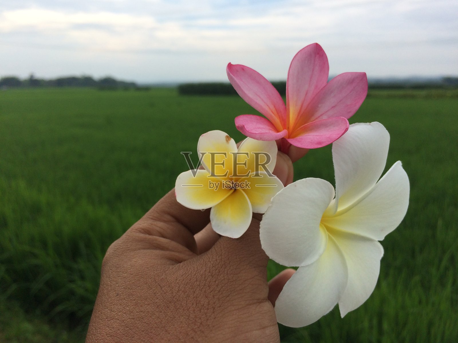 中爪哇地区的住宅区照片摄影图片