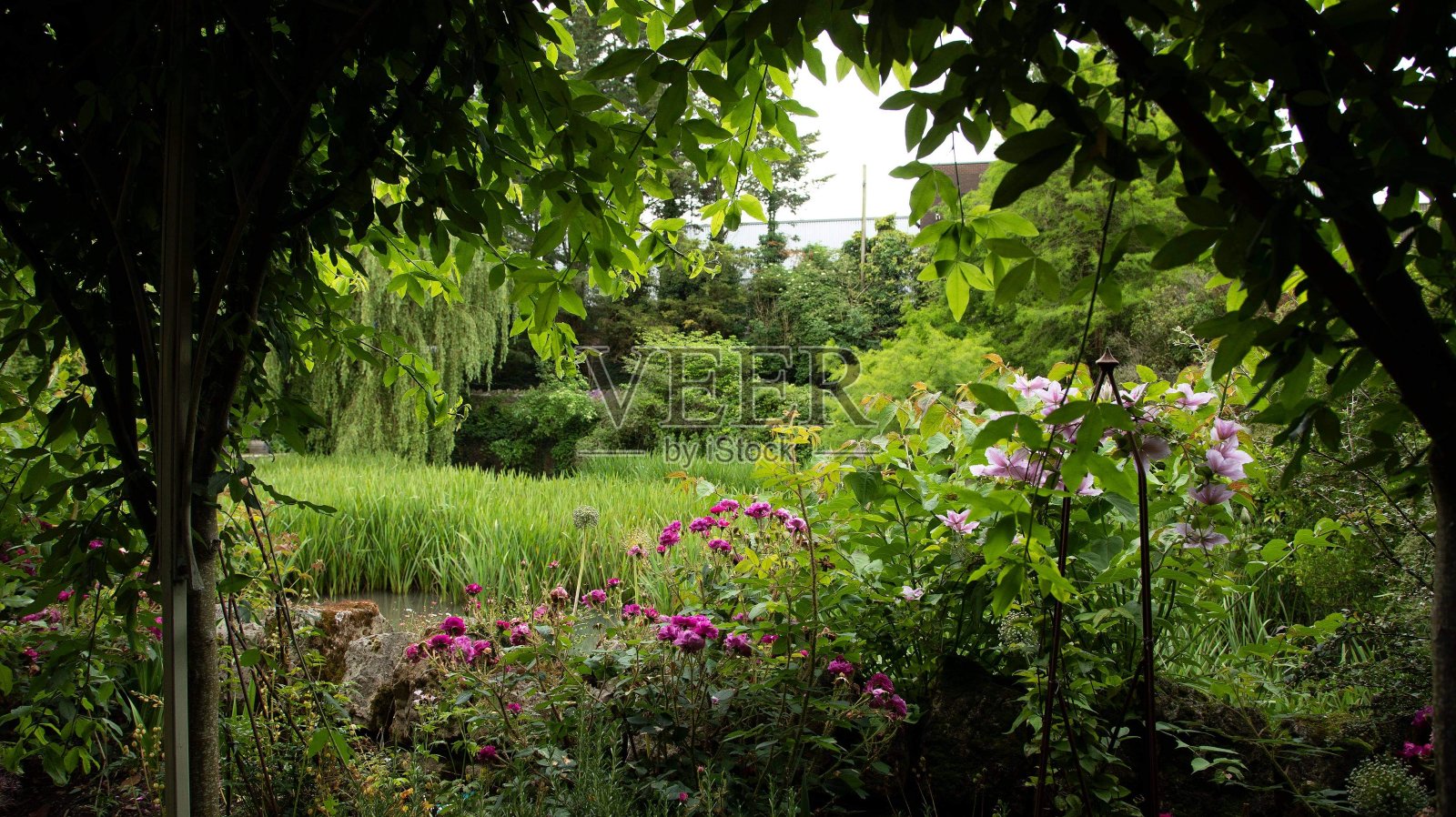 花园和湖照片摄影图片