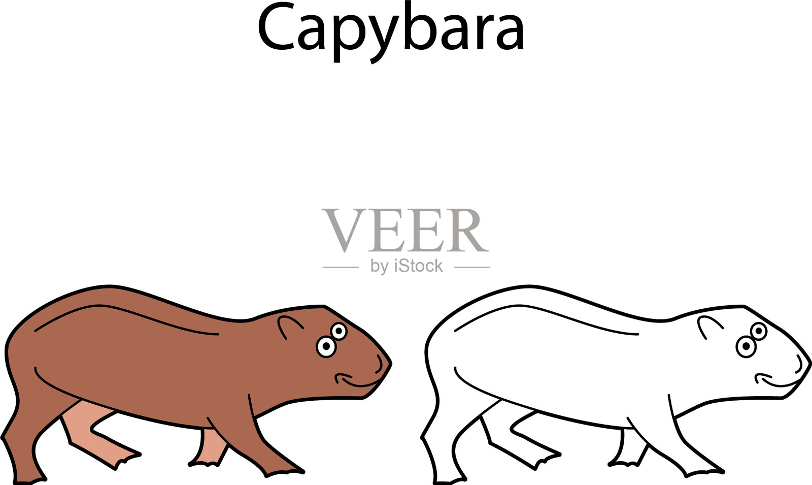 滑稽可爱的动物水豚孤立在白色插画图片素材