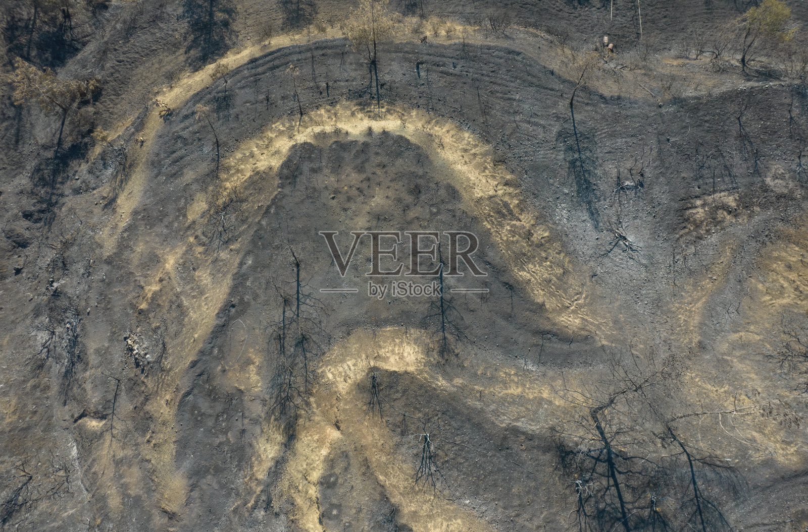 山火和烧毁的农田和森林。环境灾难塞浦路斯。照片摄影图片