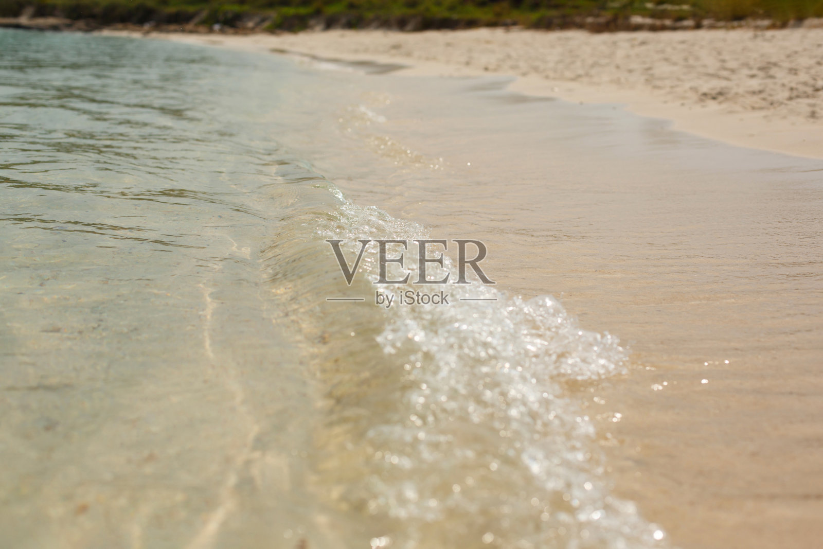 阳光照在水面上。砂质底。海浪和泡沫在海岸上照片摄影图片