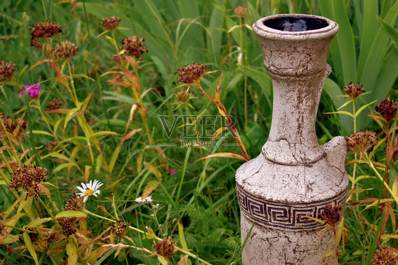 草丛背景上的花瓶碎片照片摄影图片
