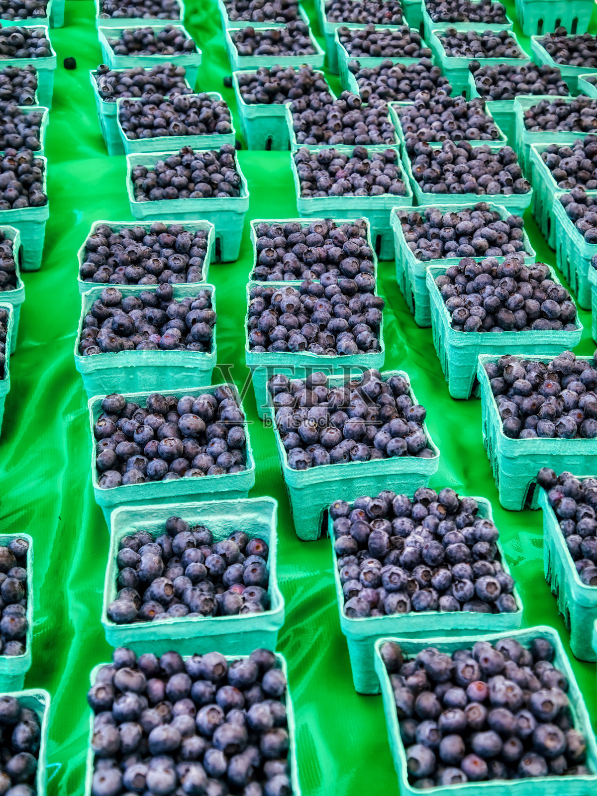 农贸市场蓝莓照片摄影图片