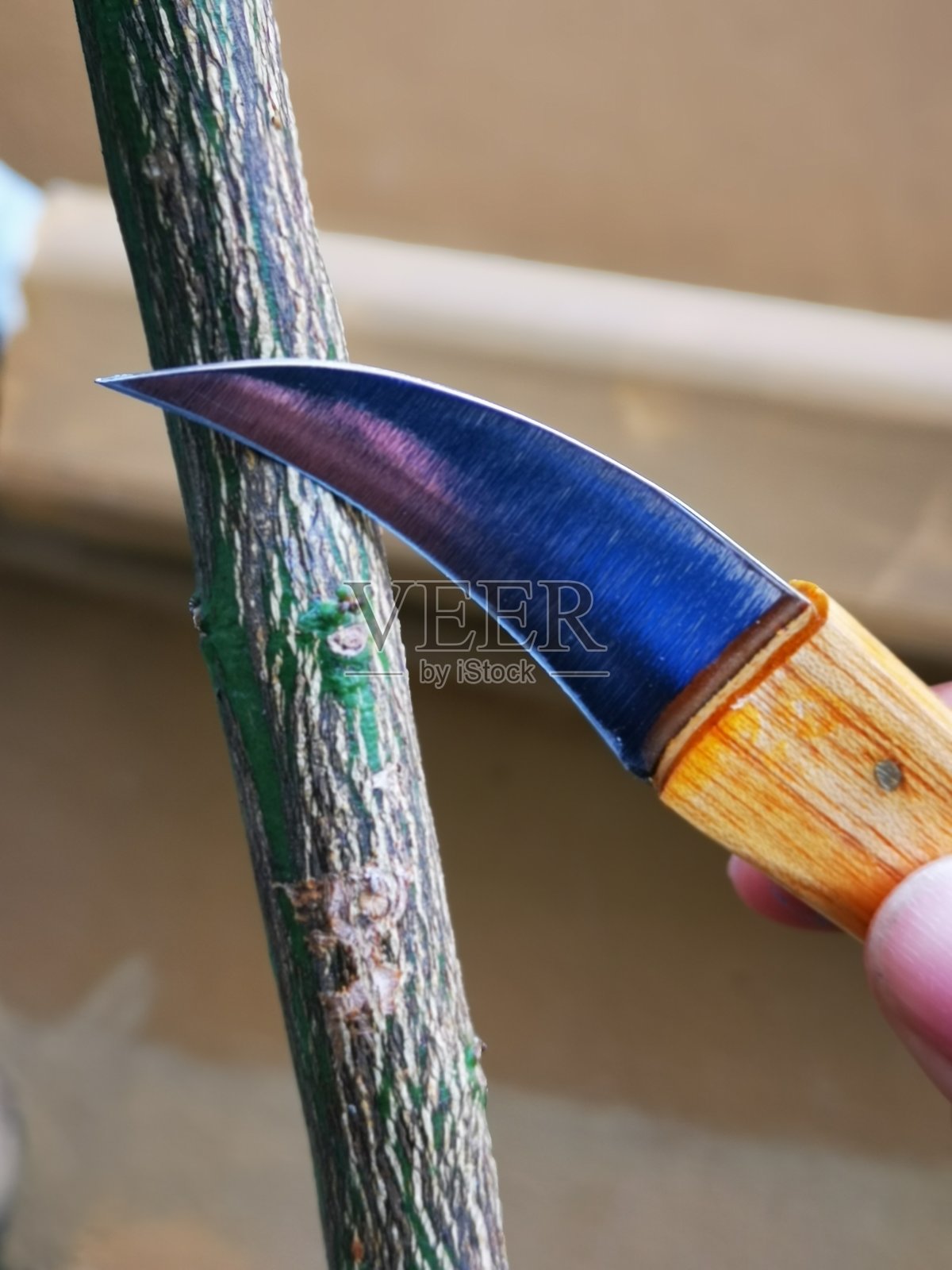 花园里用的木柄Tourne刀照片摄影图片